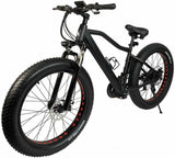 Electric Mountain Stealth 21 Speed Electric Fat Bike 26"  10AH - Matt Black