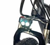 Electric Mountain Stealth 21 Speed Electric Fat Bike 26"  10AH - Matt Black