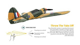 P40 WARBIRD RTF 4CH RC PLANE WITH 3D/6G OPTIONAL AUTOPILOT GYRO